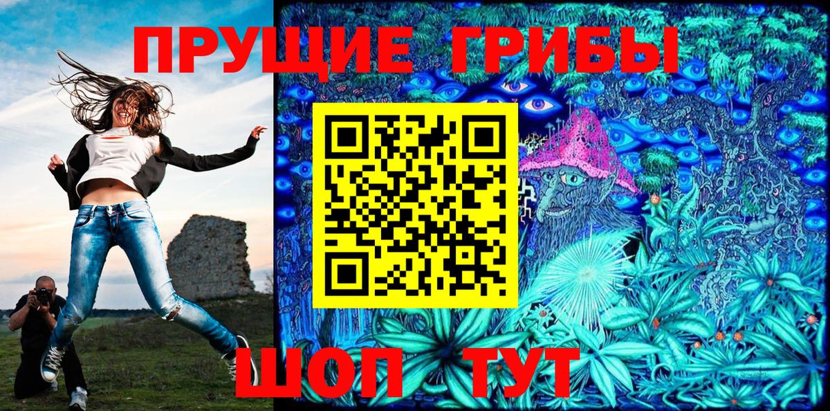 хочу   Вход с VPN  Ачхой-Мартан  Галлюциногенные грибы прущие грибы 