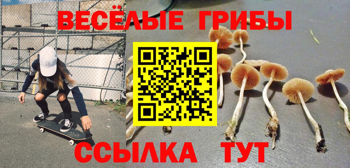 Псилоцибиновые грибы мухоморы Ачхой-Мартан