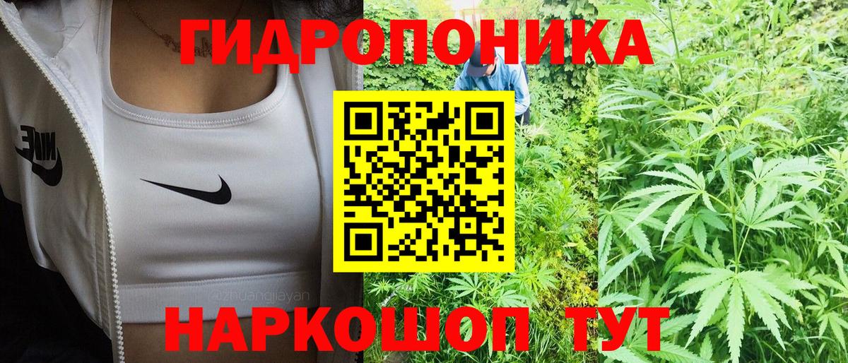 Шишки марихуана AK-47 Ачхой-Мартан